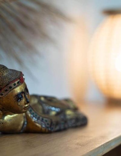 villa chaleemar a bruges proche de bordeaux 48 2